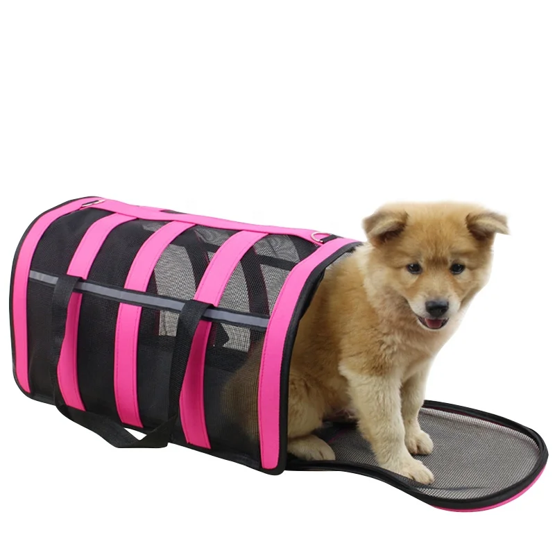 2021 New Design Easy Assembly Two-Door Top-Load Hard-Sided Airline Travel pet cages, carriers & houses