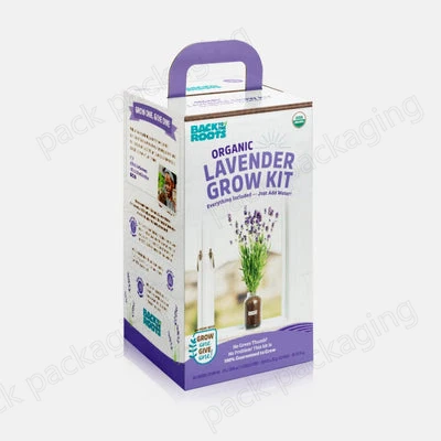 Custom Branding Biodegradable Oyster Mushroom Grow Kit Corrugated Box Paper Cardboard Mushroom Growing Box