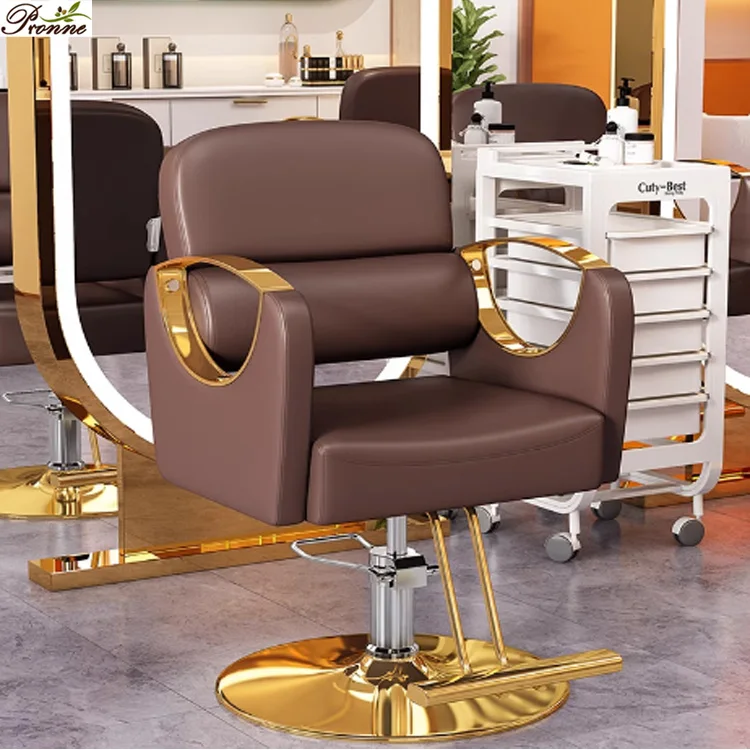 New style stainless steel wood painting hydraulic Pink hairdressing chair
