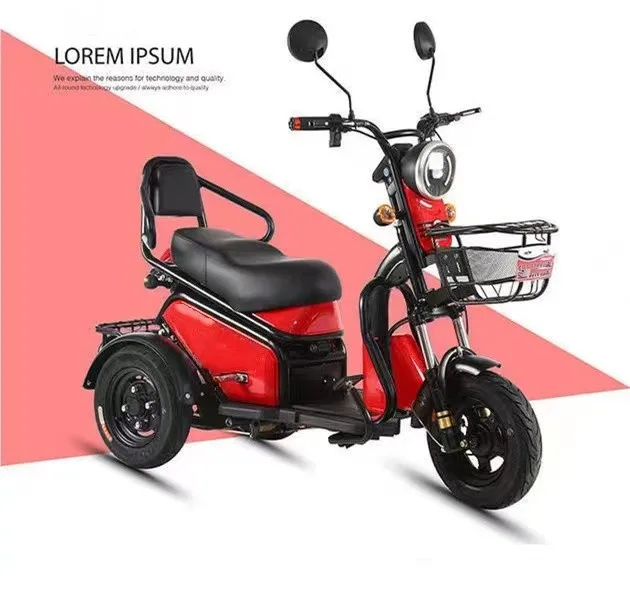 3 Wheel Electric High Quality 1200W 500W Lead Acid Long Life Battery Mini Electric Tricycle
