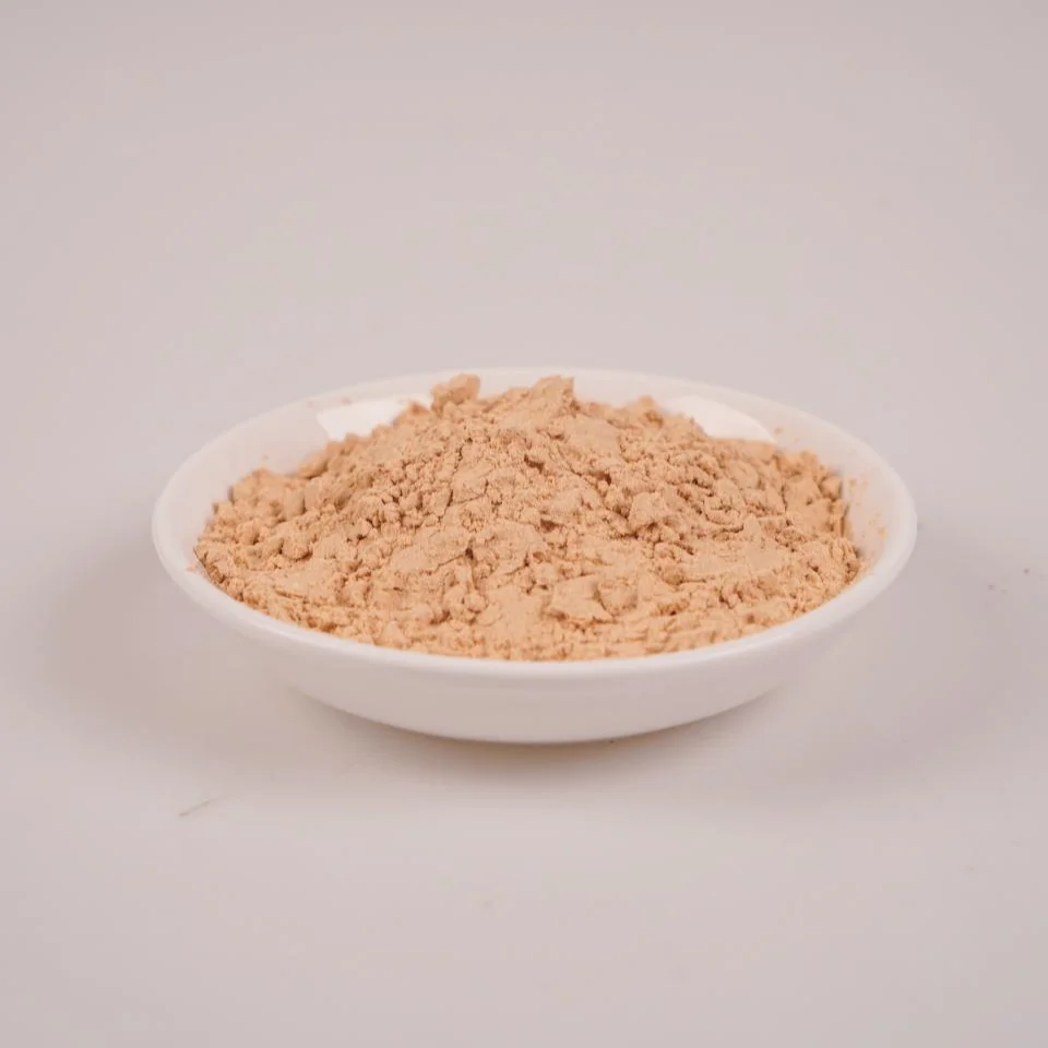 25KG Bulk package South Word Brand White Fermented Bean curd Powder