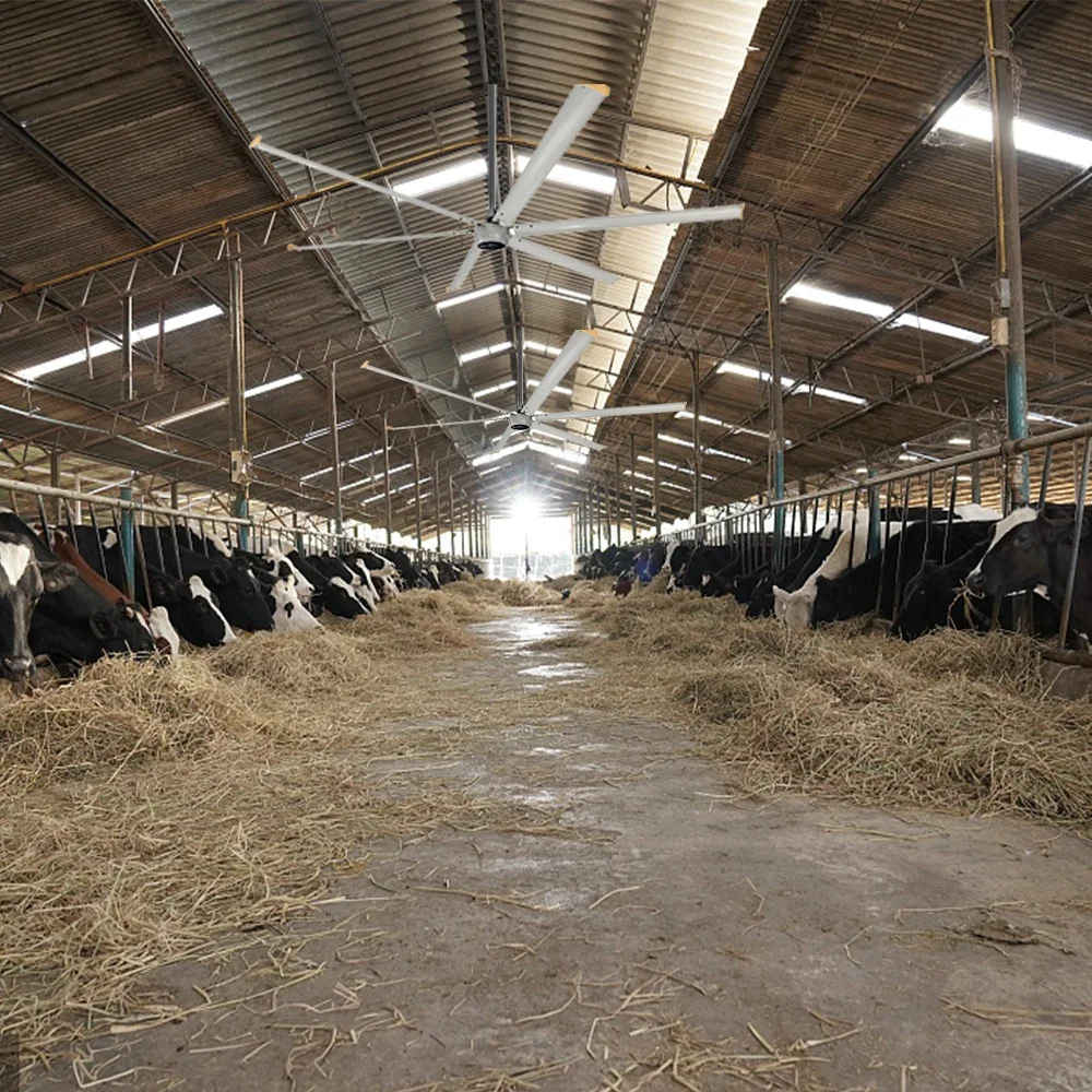 Philippines Factory use 12ft 14ft 1500W 220V 6 blade ceiling hvls fan with inverter