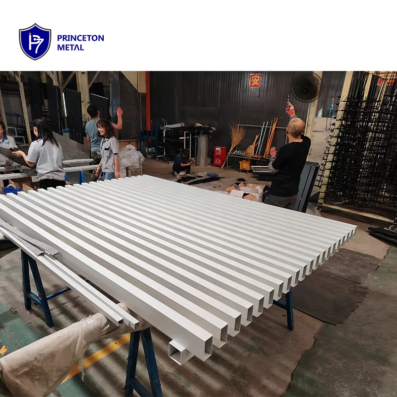 Modern Design Aluminum Extrusion Profile for Office Building Exterior Wall Batten for Curtain Walls Aluminum Cladding Facade