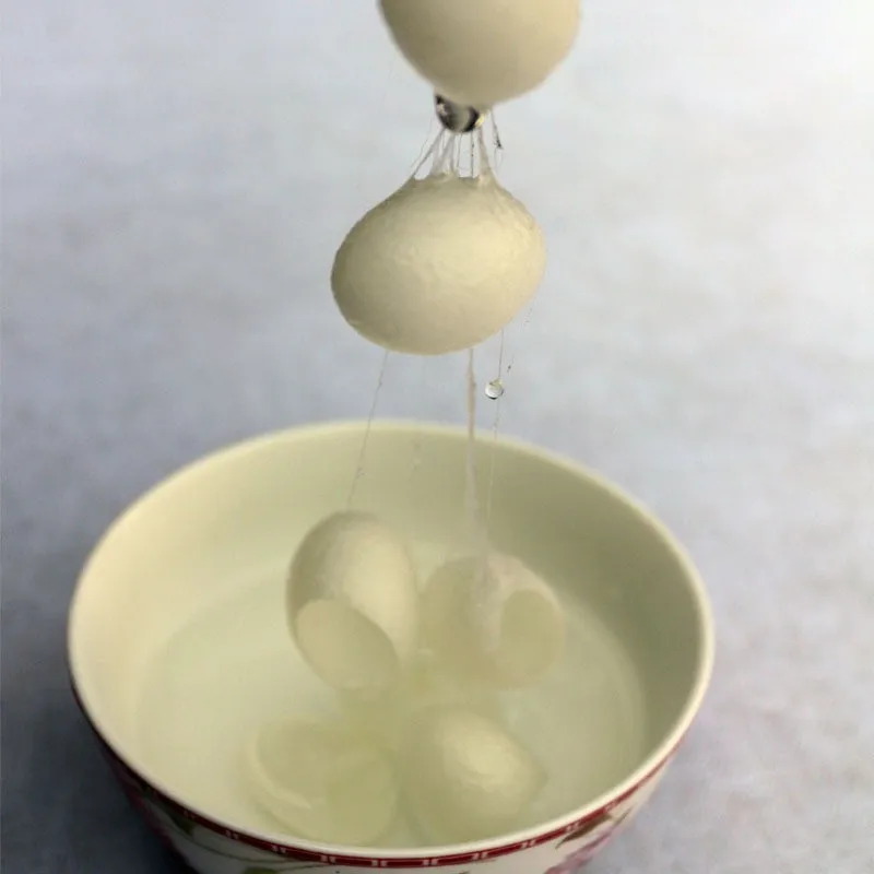 NATURAL SILK COCOON BEST PRICE FROM CHINA