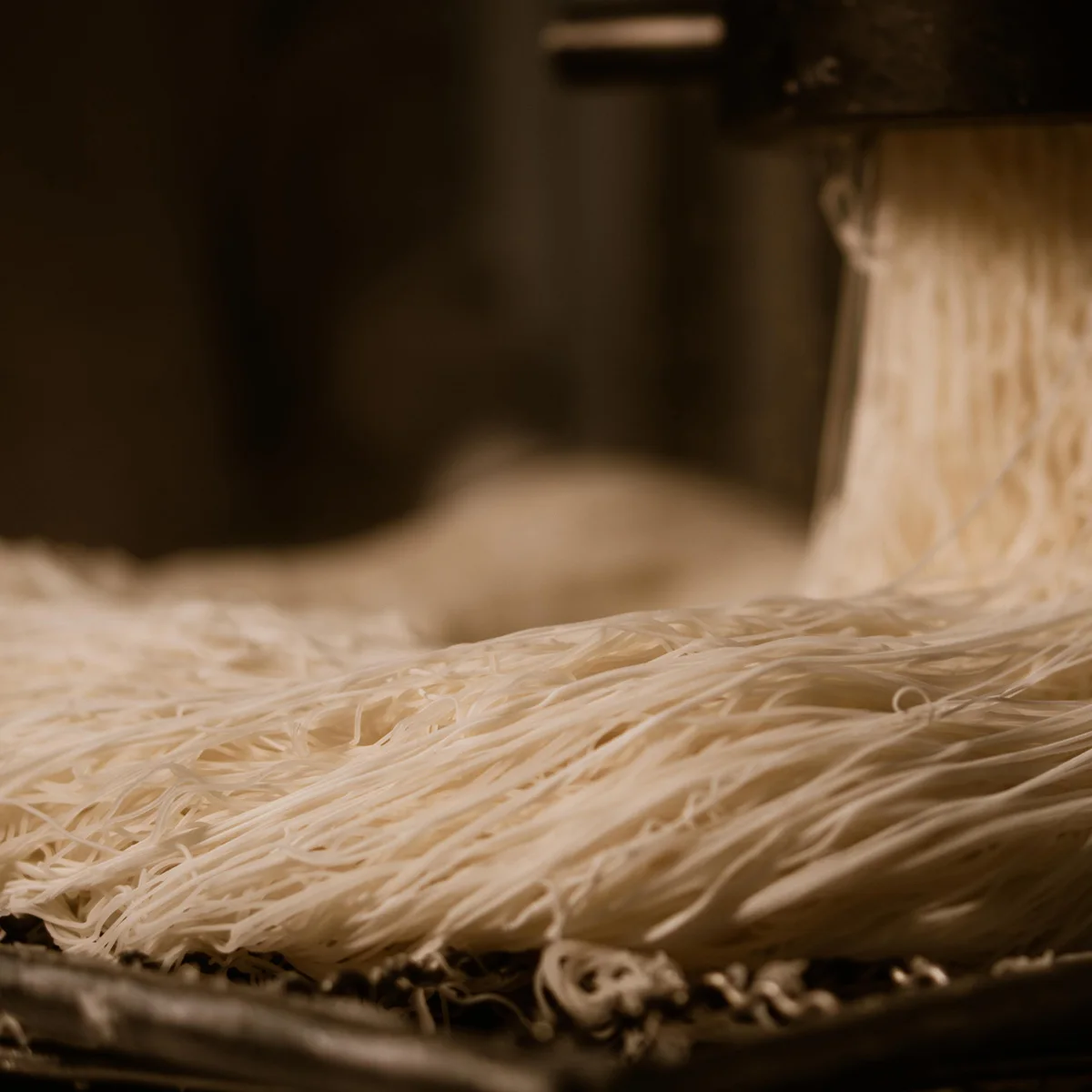 Wholesale Instant Vermicelli Noodles Vegan Food Bifum Original 500G Rice Noodle Gluten Free Food Dried Rice Noodle