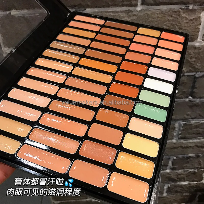 OEM custom logo foundation concealer palette high definition water proof face make up concealer 50 colors in one palete