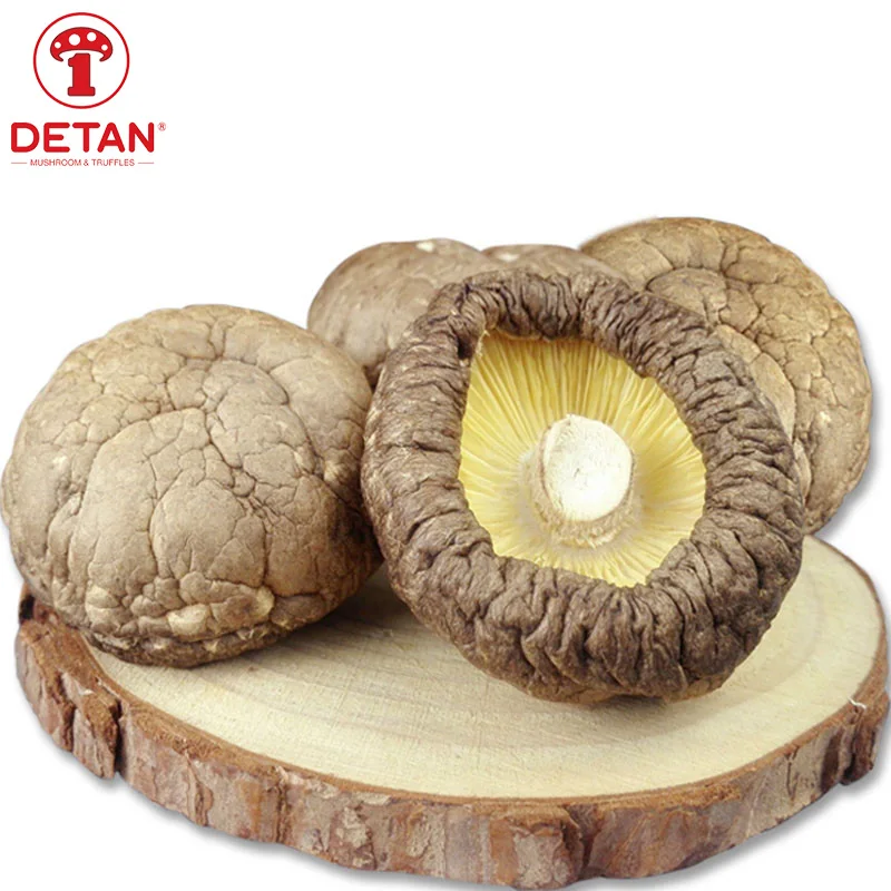 DETAN wholesale dry shiitake mushroom