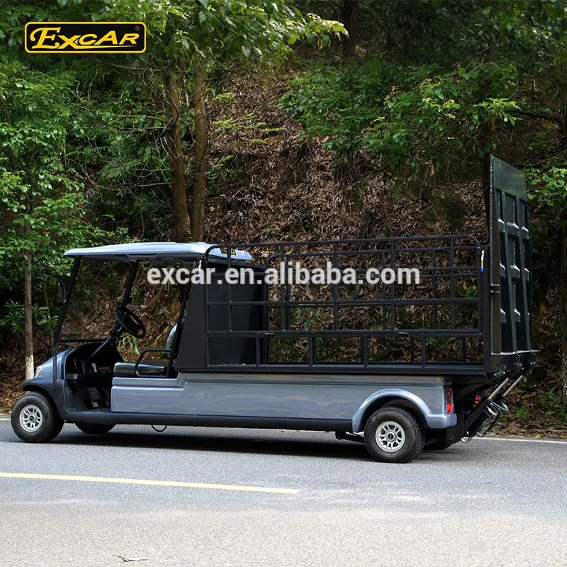 EXCAR Electric utility Cart 48V 2 seats Electric Golf Cart hotel buggy car electric truck