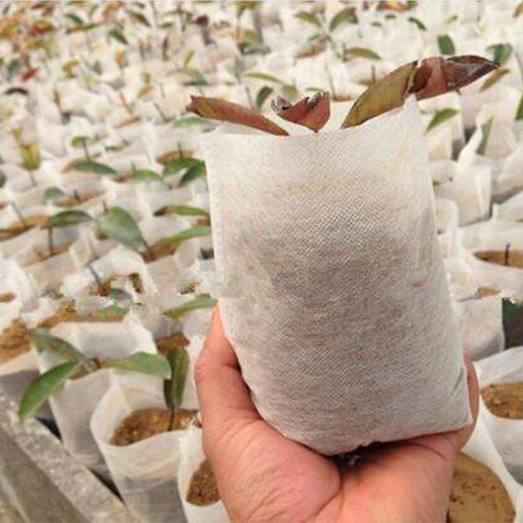 Eco Friendly Non Woven Fabric Biodegradable grow bag Vegetables Plant pot Flower Grow Seedlings  Pot  tree Seedlings bag