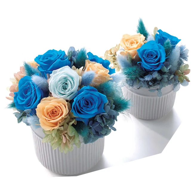 2-3 cm Fresh A Grade Good Quality  Real Natural Eternal Forever Immortal Flower Head Preserved Roses