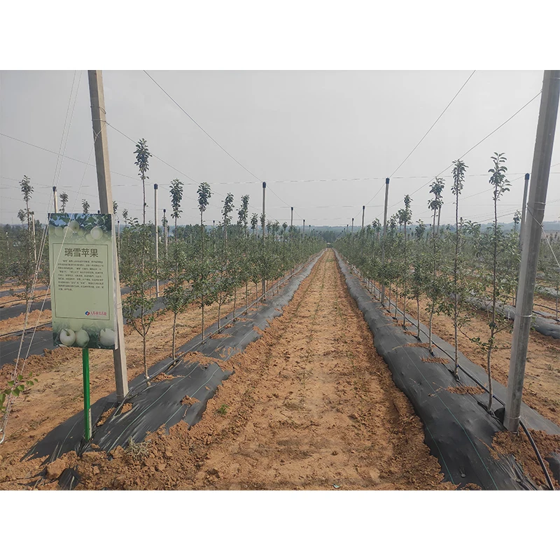 wholesale agricultural cover PP weed control mat cloth woven fabric mulch