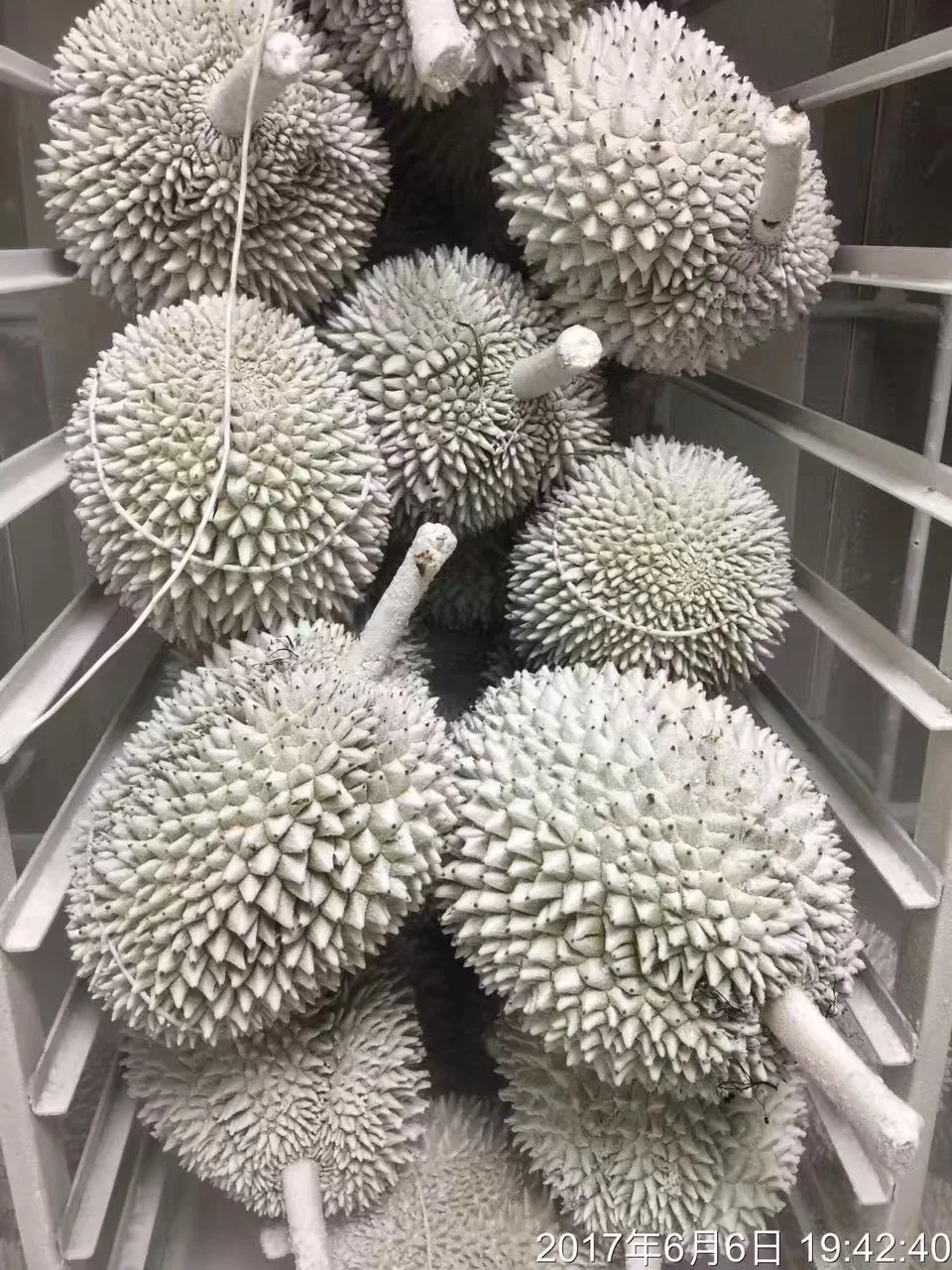 All Kinds Of Fish Fillet Shrimp Liquid Nitrogen Cabinet Freezer 600kg/h Double Door Seafood Freezer Fresh Quick-freezing Machine