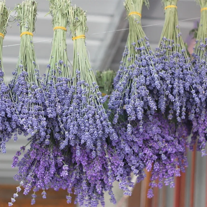 
C2146 Hot Sale Cheap Natural Real Pressed Florals Dry Lavender Bouquet Dried Lavender Flowers For Wedding Home Decoration 