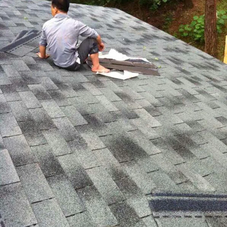 Asphalt Shingles Roofing Tile Shingles Laminated China Manufacturer Roofing Shingles Single layer Waterproof