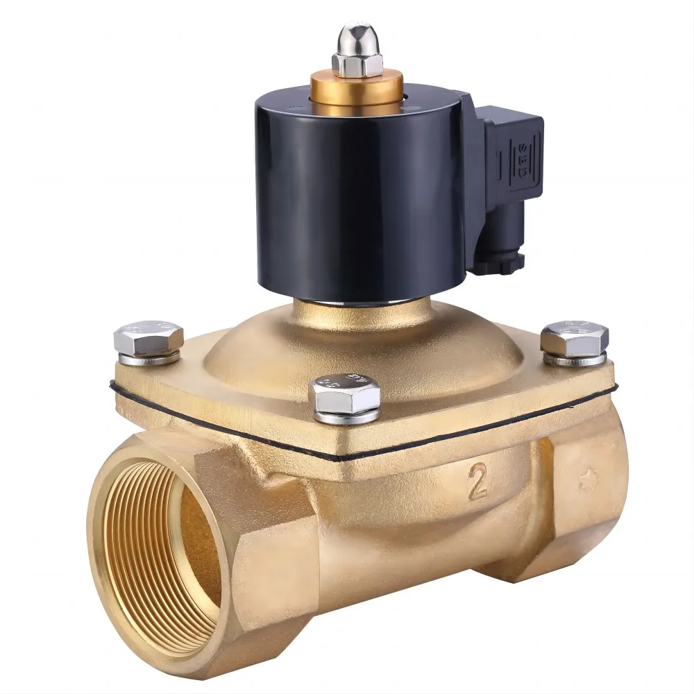2W 1/4in-2in Solenoid Valve 12V 24V 220V 230V Direct Acting Electric Solenoid Valve Normally Closed Brass Water Solenoid Valve