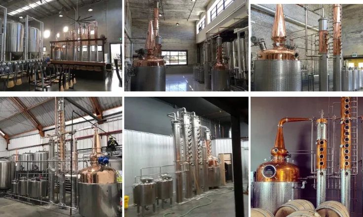 paste-pic-dp_uuid_ph895