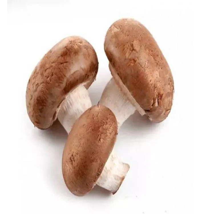 fresh mushroom agaricus stem stipe removing cutter machine / Mushroom destemmer stem cutter