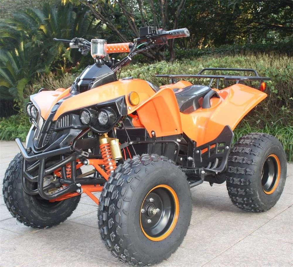 Электрический 4-х колесных мотоциклов ATV с 48v 800w 1000 Вт, соответствующий европейским стандартам по ограничению на использование опасных материалов в производстве