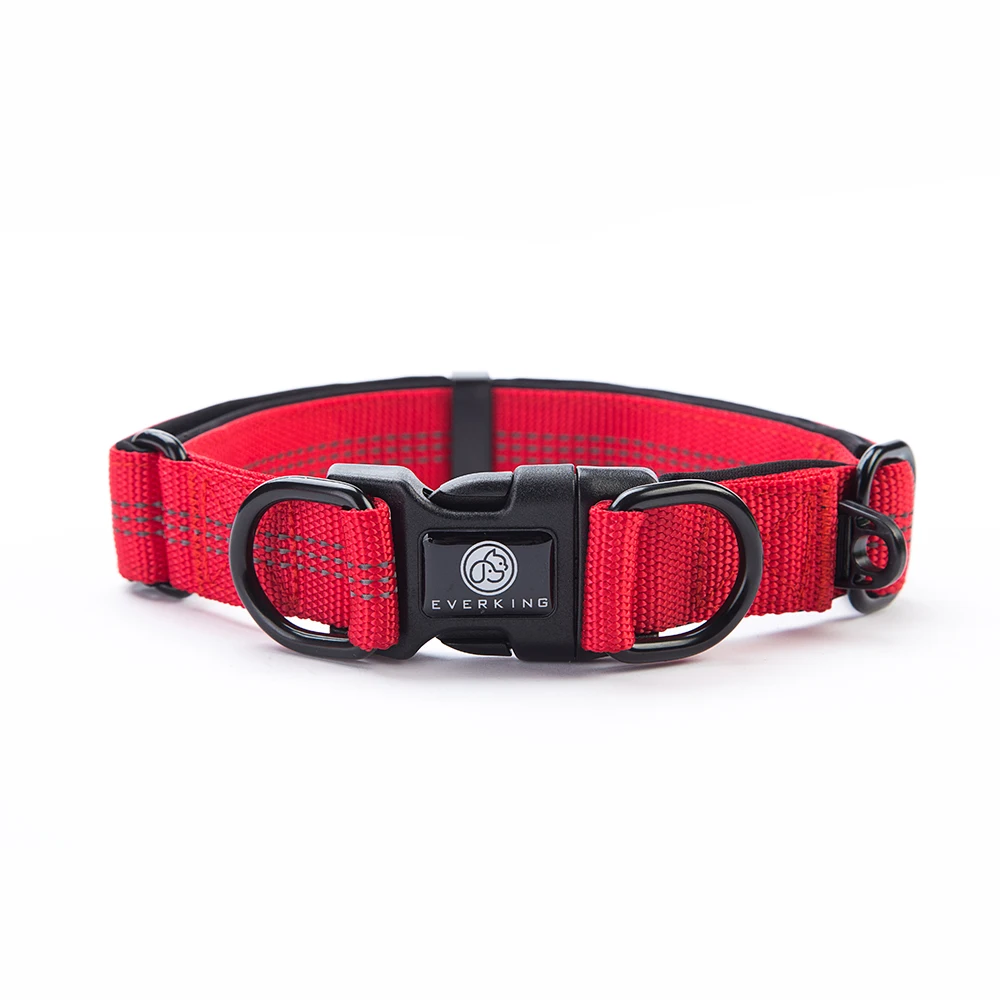R Strong nylon collar fashion Personalized Logo outdoor dog collar washable