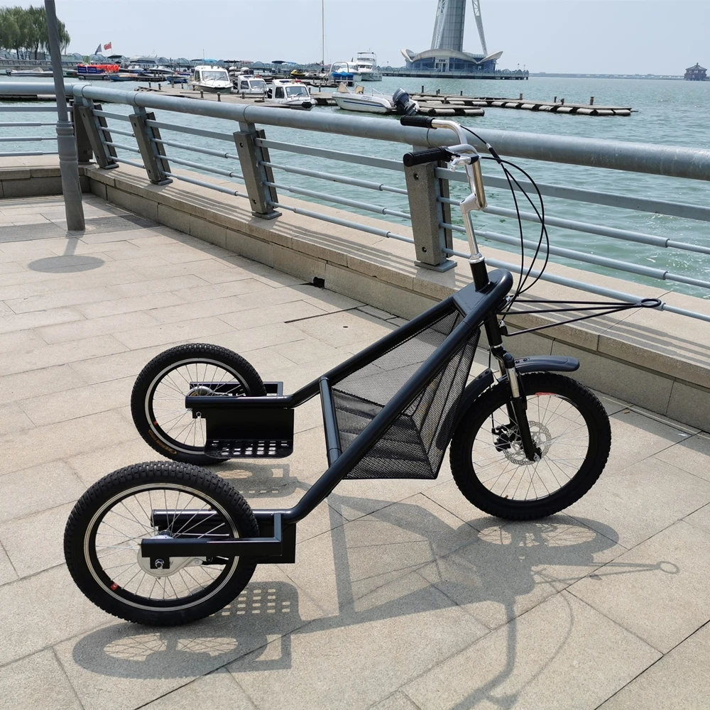 
dog trike 