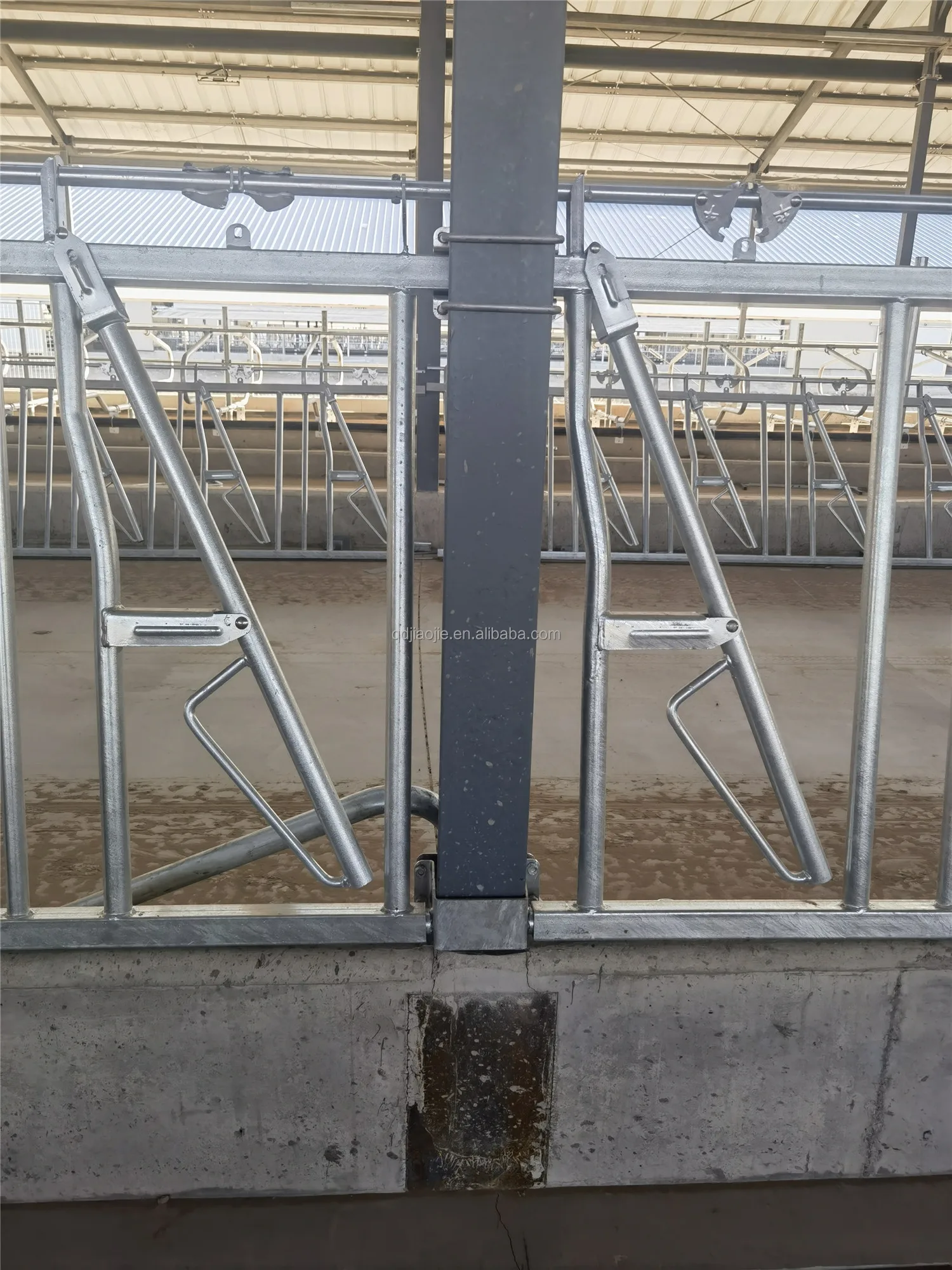 Factory price cattle headlocks with dairy cow galvanized cattle farm headlock