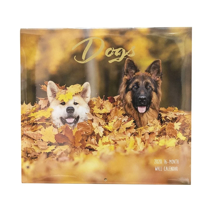 Customised Private Label Diy Daily Calendar Printing Service 365 Day Wall Calendar