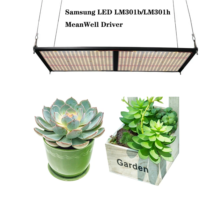 
High Quality Planting Vertical Farming Samsung Dimmable Meijiu LM301b LM301h QB288 Led Board 240w Led Grow Light 
