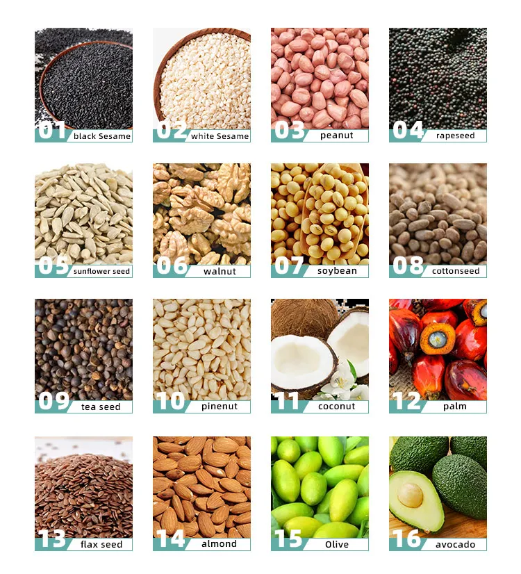 Home Use Sunflower Oil Press Cold Press Sesame Oil Mill Machine Passion Seed Oil Press Line Automatic