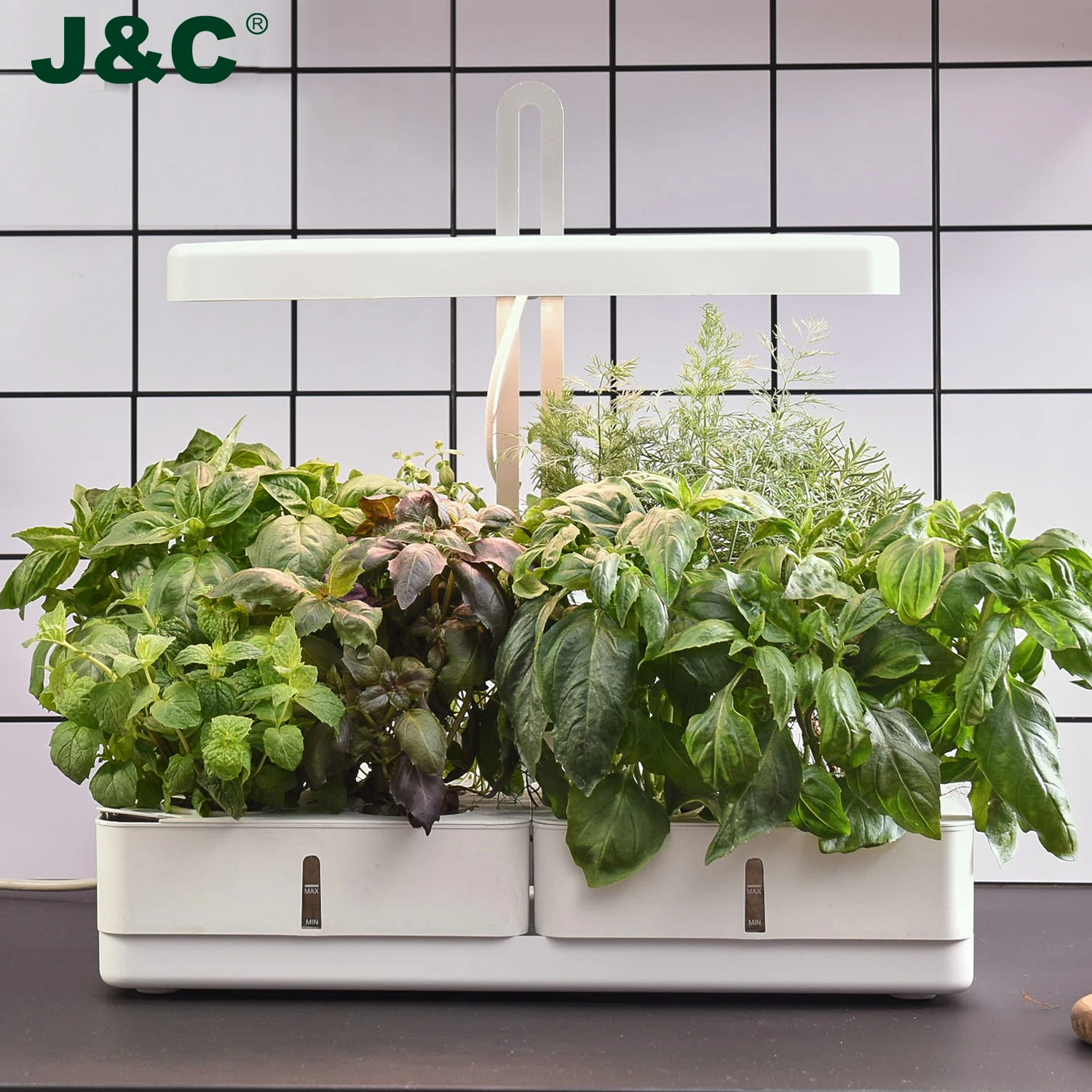 J & C Minigarden vaxa ljuz садовые гидропонные системы выращивания растений в помещении светодиодная умная система для дома и сада