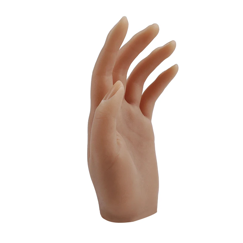 3d Model Nails Can Move And Display Hand Nail Molds Flexibly