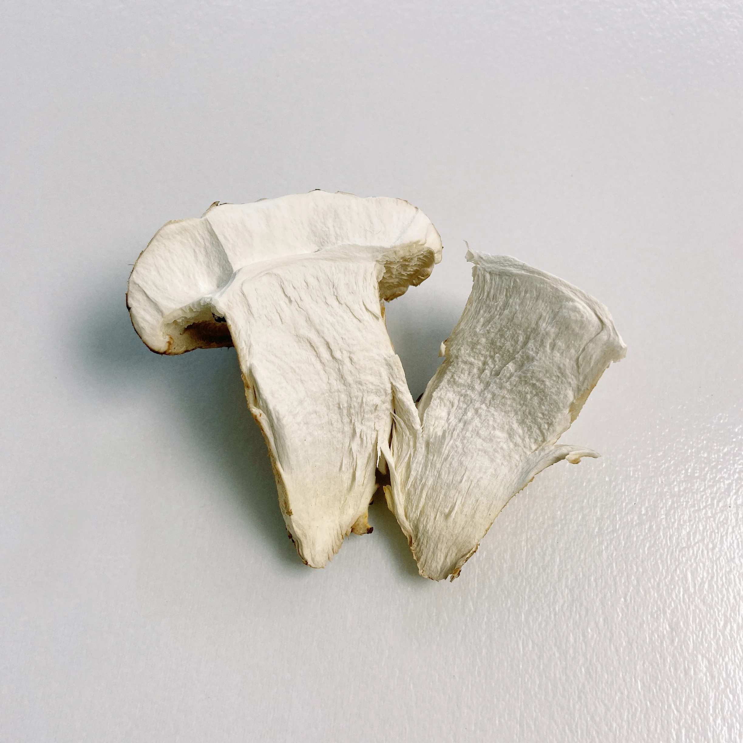 
Professional Hot Sale Dried Shiitake Mushroom Prices Production 