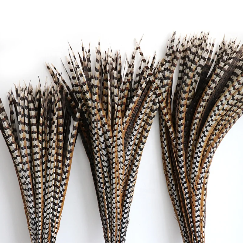 Wholesale Stock Selected Top Quality 20-150 cm Natural Long Ringneck Reeves Pheasant Tail Feathers large plumas