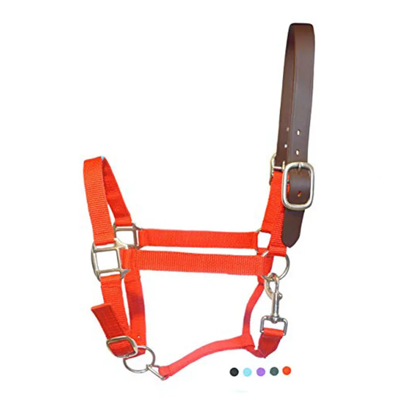 horse Halters 4