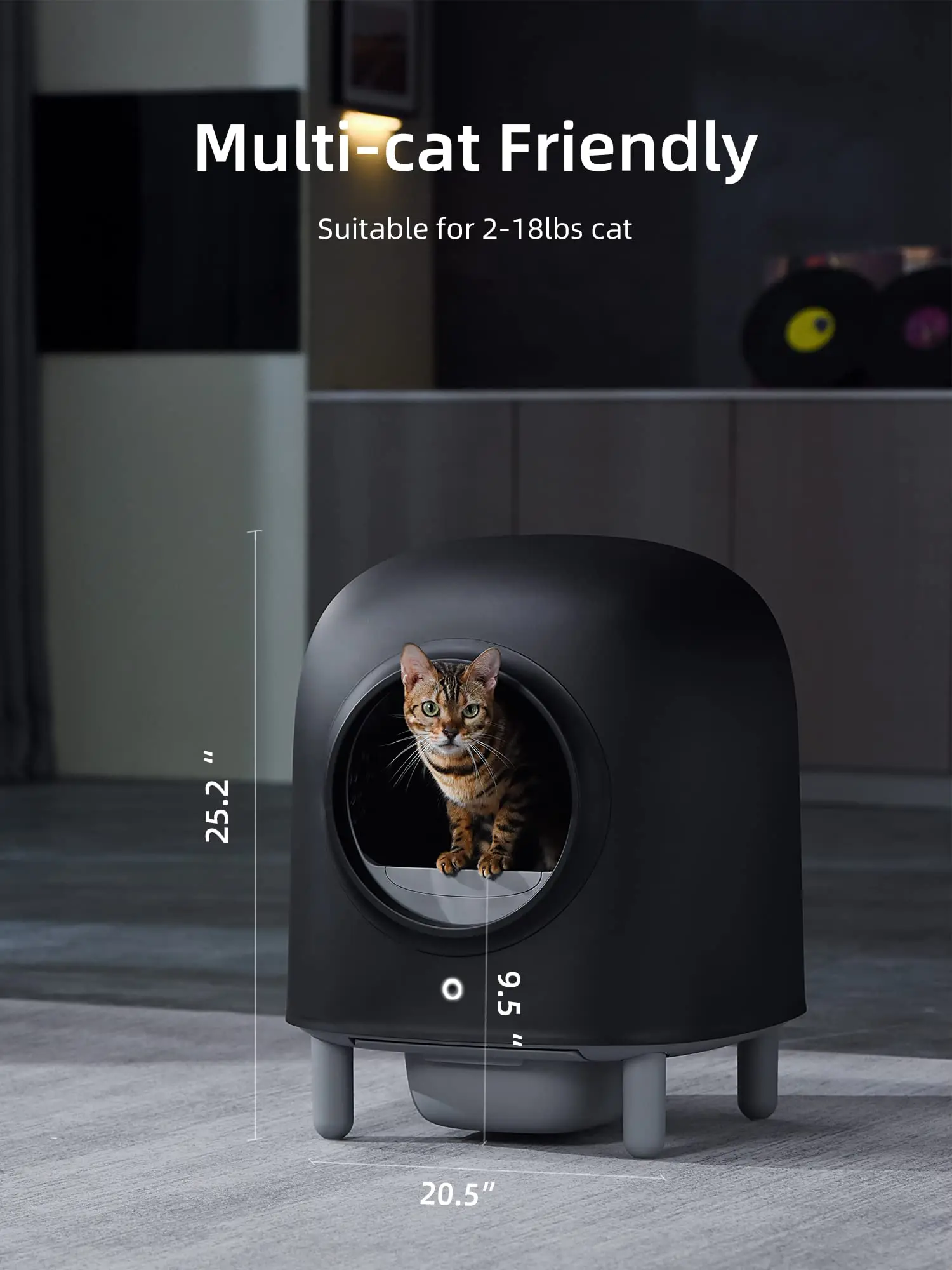 Wholesale Electric Smart Home Petree Pet Self Cleaning Automatic Self Clean Black Cat Litter Box Toilet For Small Cats