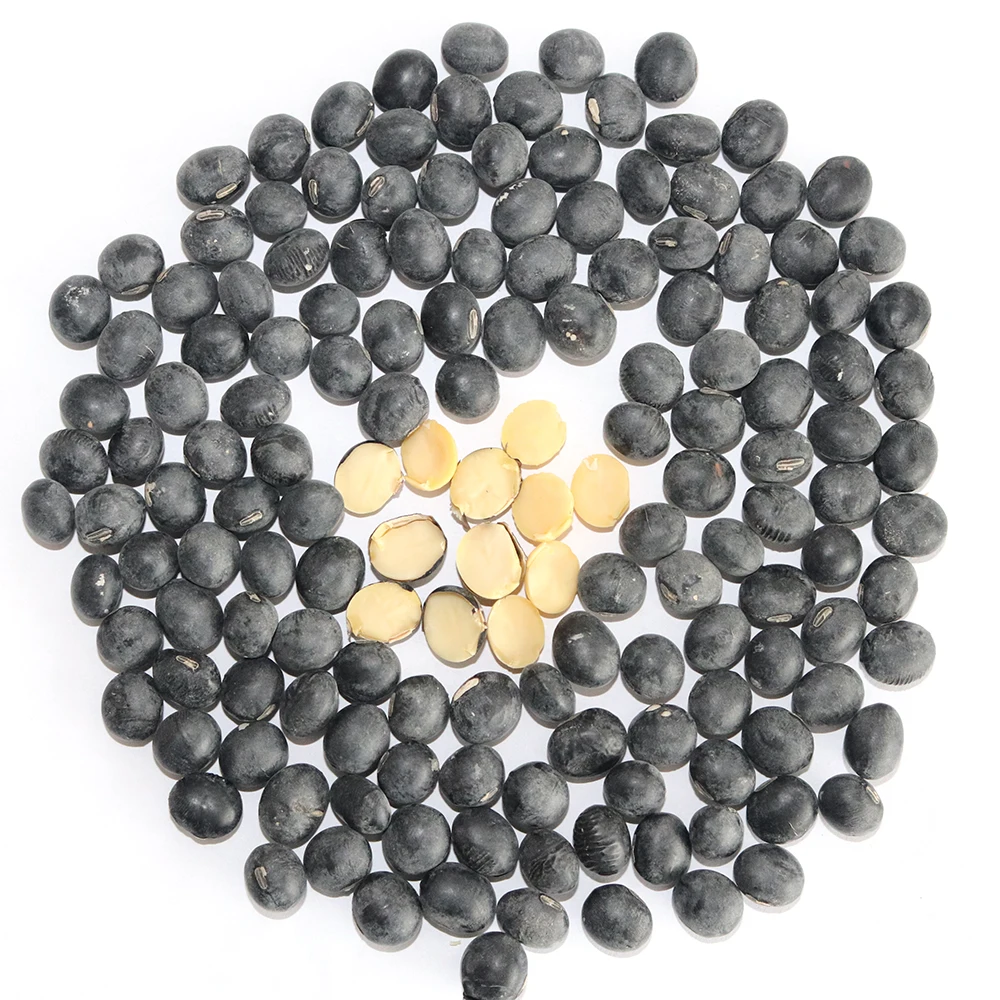 Wholesale best selling High Quality Black kidney Beans (1600338022412)