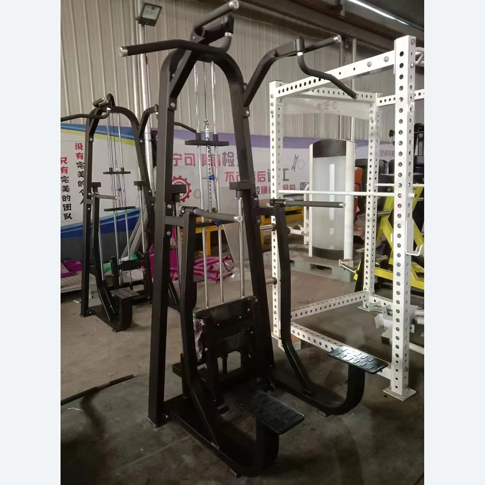 Commercial Dip Chin assist machine home plate loaded selection gym sports equipment with factory price