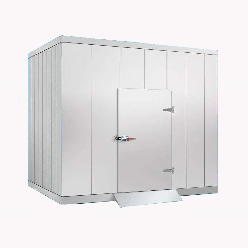 Butcher Cold room storage warehouse for fish freezing