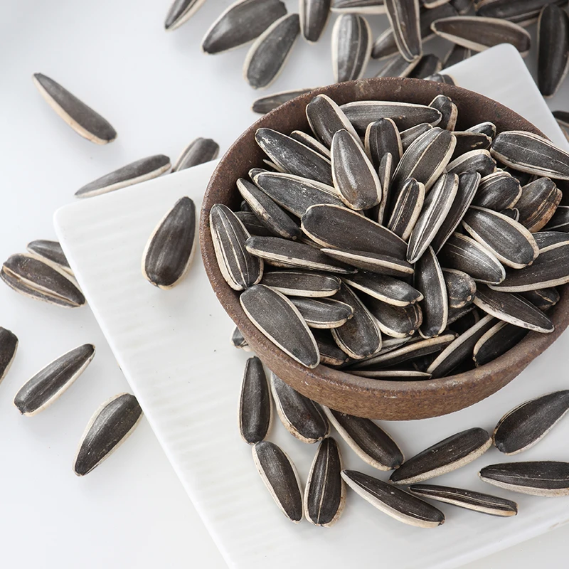 New Crop High Quality Sunflower Seeds T6/363/361 Supplier