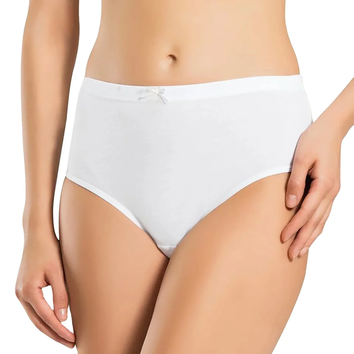 Comfortable High Rise Bamboo Modal Viscose Hipster Panties TLS215