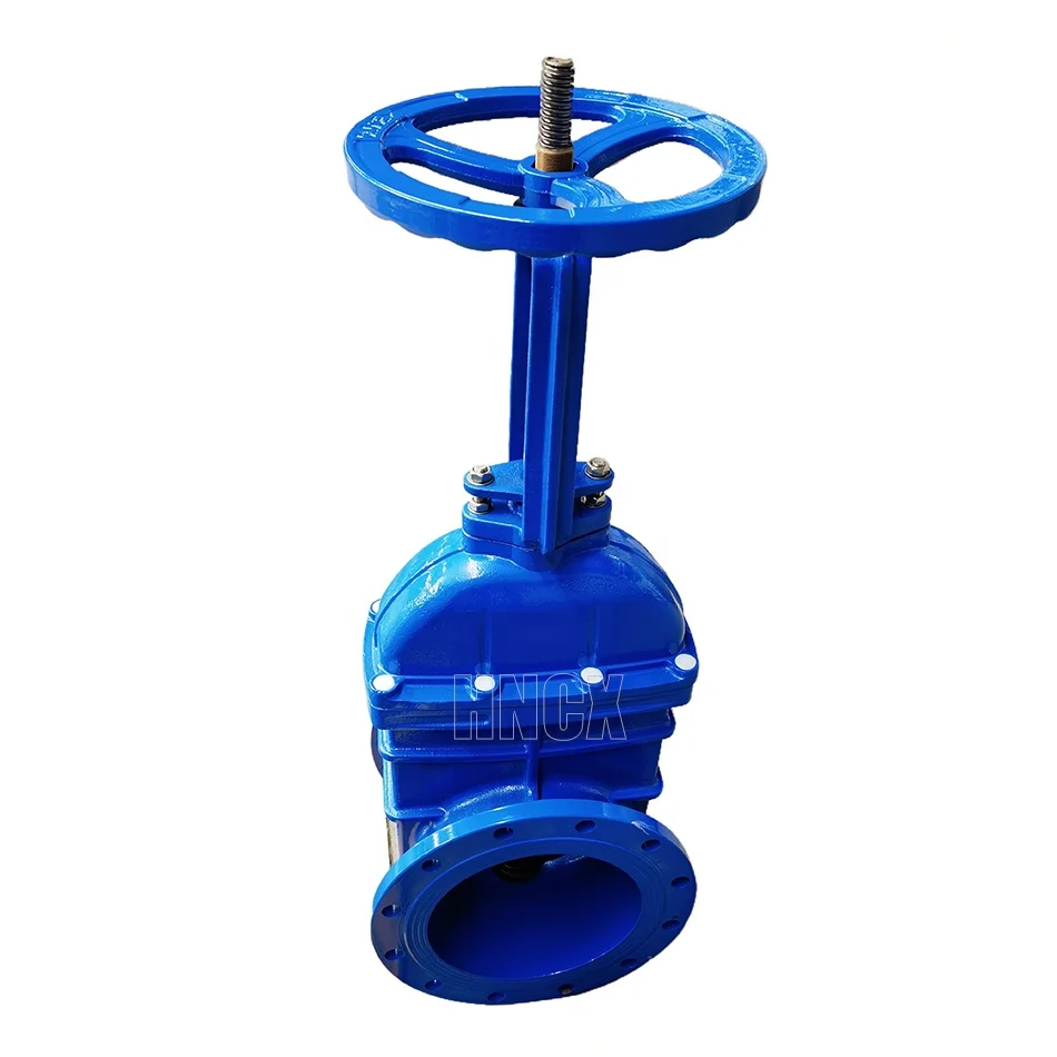 Factory price 12 inch rising stem gate valve ductile iron resilient seat PN10/16 gate valve EPDM rubber seal flange gate valve