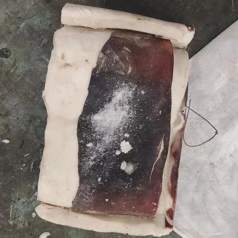 NEW ARRIVAL DONGSHEN FOR Vietnam   MARKET 100% net weight BQF Frozen  PERU squid fillet Skin on  GIANT GIGAS squid  Fillet