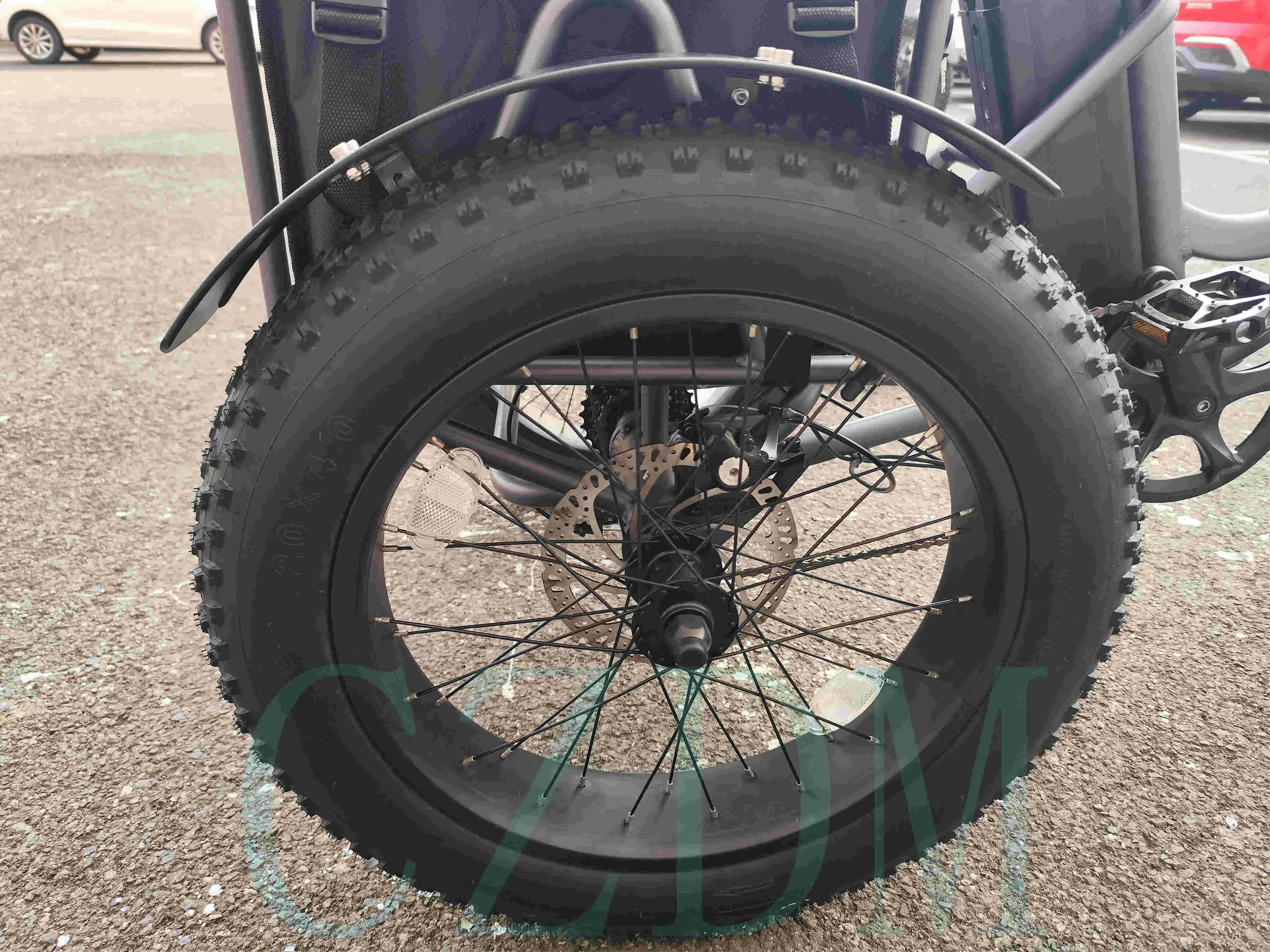 Customized And Comfortable 48V1000W Electric Tri E Tri cycle Tricycle Electric Bike Motorized Tricycles