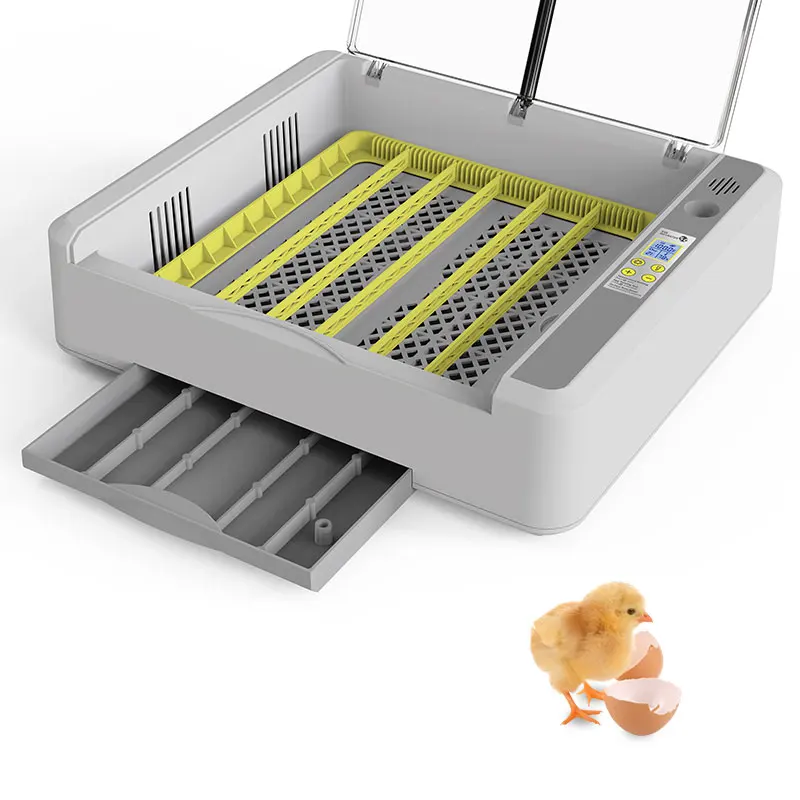 Hhd Kerosene Poussin Brooder Heatericks Infrared Gas Poultry Heater Chicks Made In China Electrical And For Chicks
