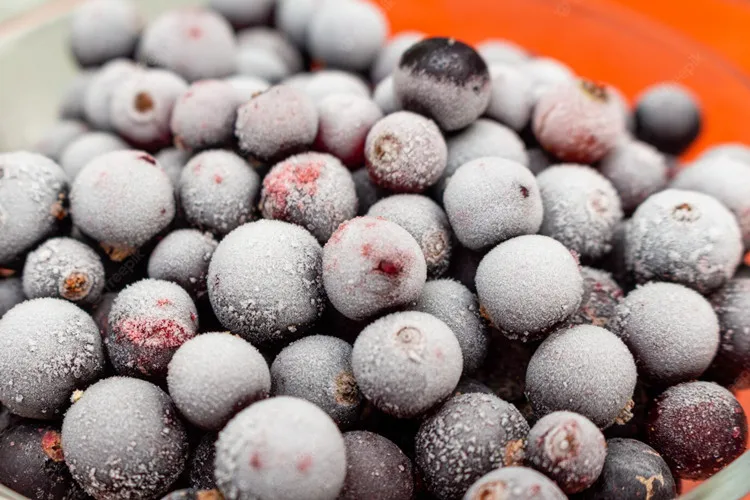 Sinocharm Brix 7-13 Brc a Iqf Black Currant Currant Monomer 8-14mm China 100% Fresh Frozen Black Current with 2 Years Shelf Life