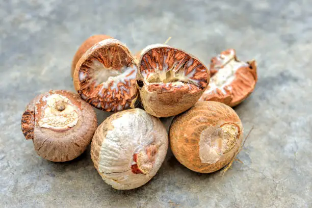 Betel Nut - high quality products - high prices in the market in 2023