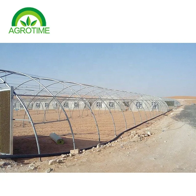 Easy to install greenhouse structure large single span green houses for sale greenhouse cooling system
