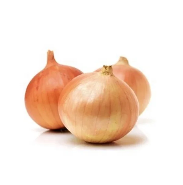 Vietnam Onion High quality cheap price