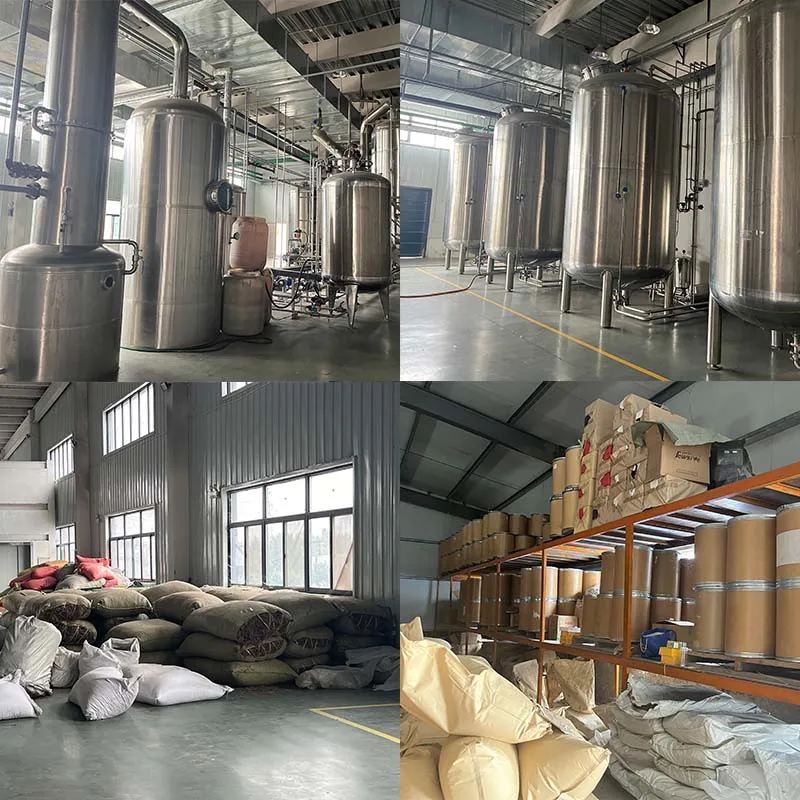 2024 New Arrival 10:1 20:1 Nutrition Supplement Walnut Fruit Black Walnut Hull Extract Powder