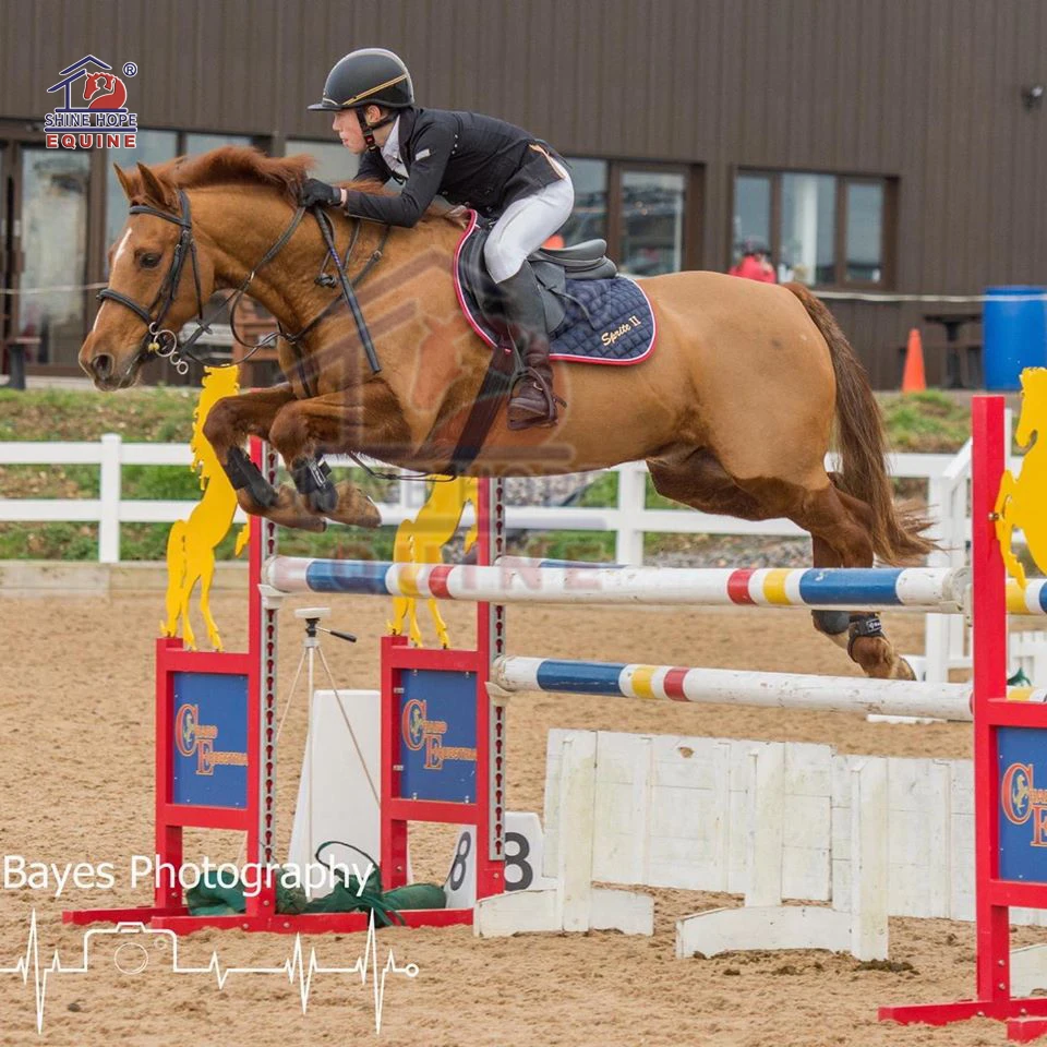 Indestructible Equestrian Product Horse Show Jumping