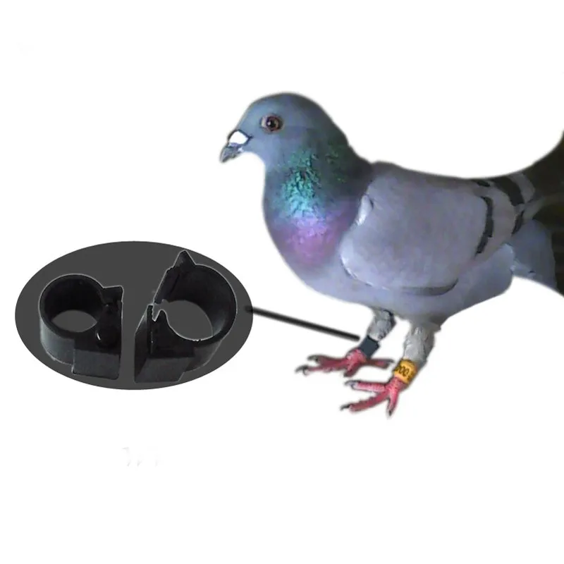 identification hf rfid foot number ring bird ring pigeon leg bands